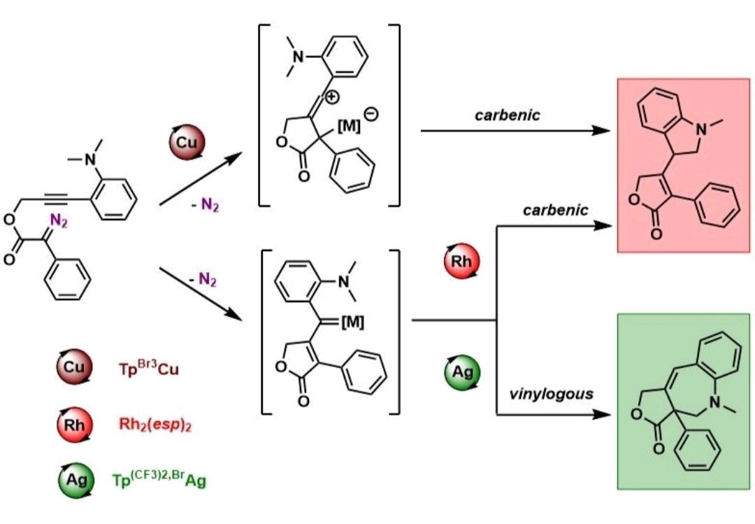 Catalyst-Directed Selectivity in Vinylcarbene Reactions: A Comparative ...